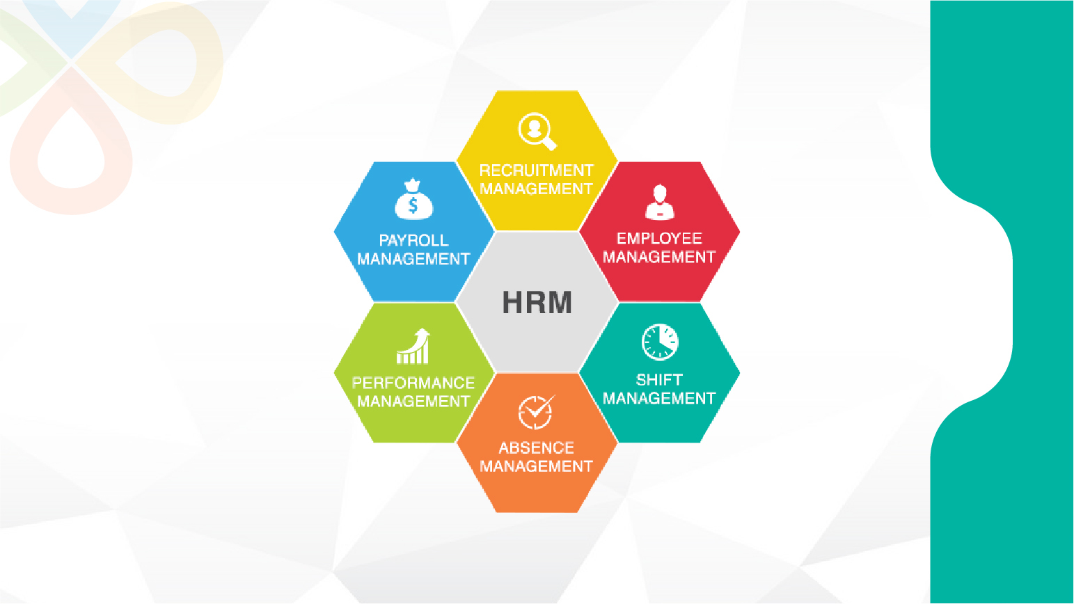 Human Resource Management System